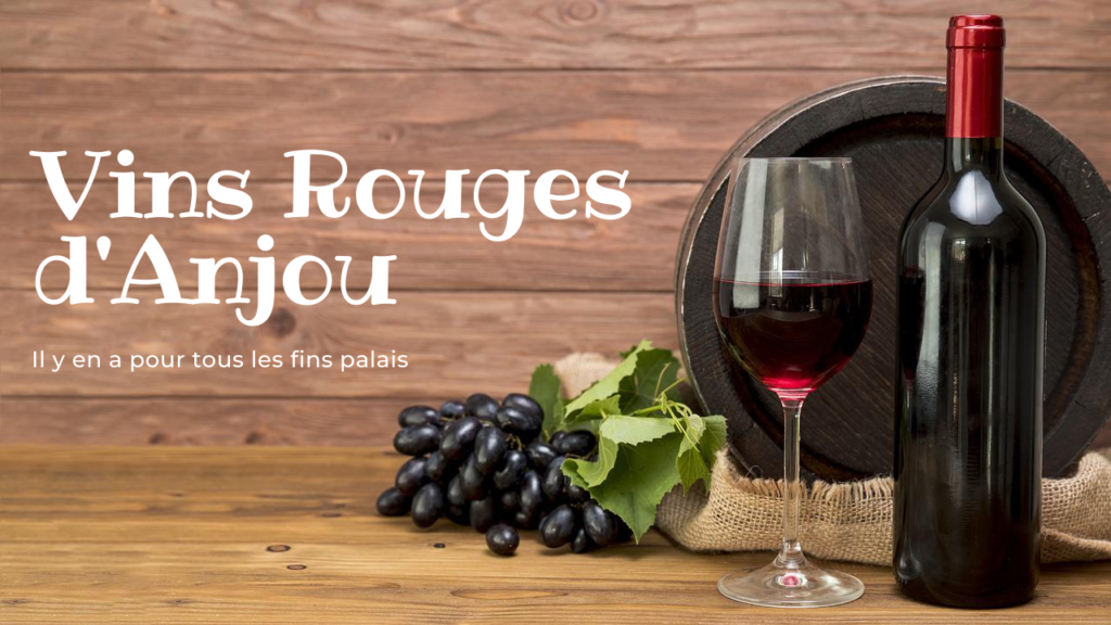 Les vins Rouges dAnjou Vins d'Anjou